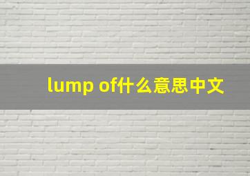 lump of什么意思中文